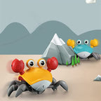 4890006437582,4890006437599